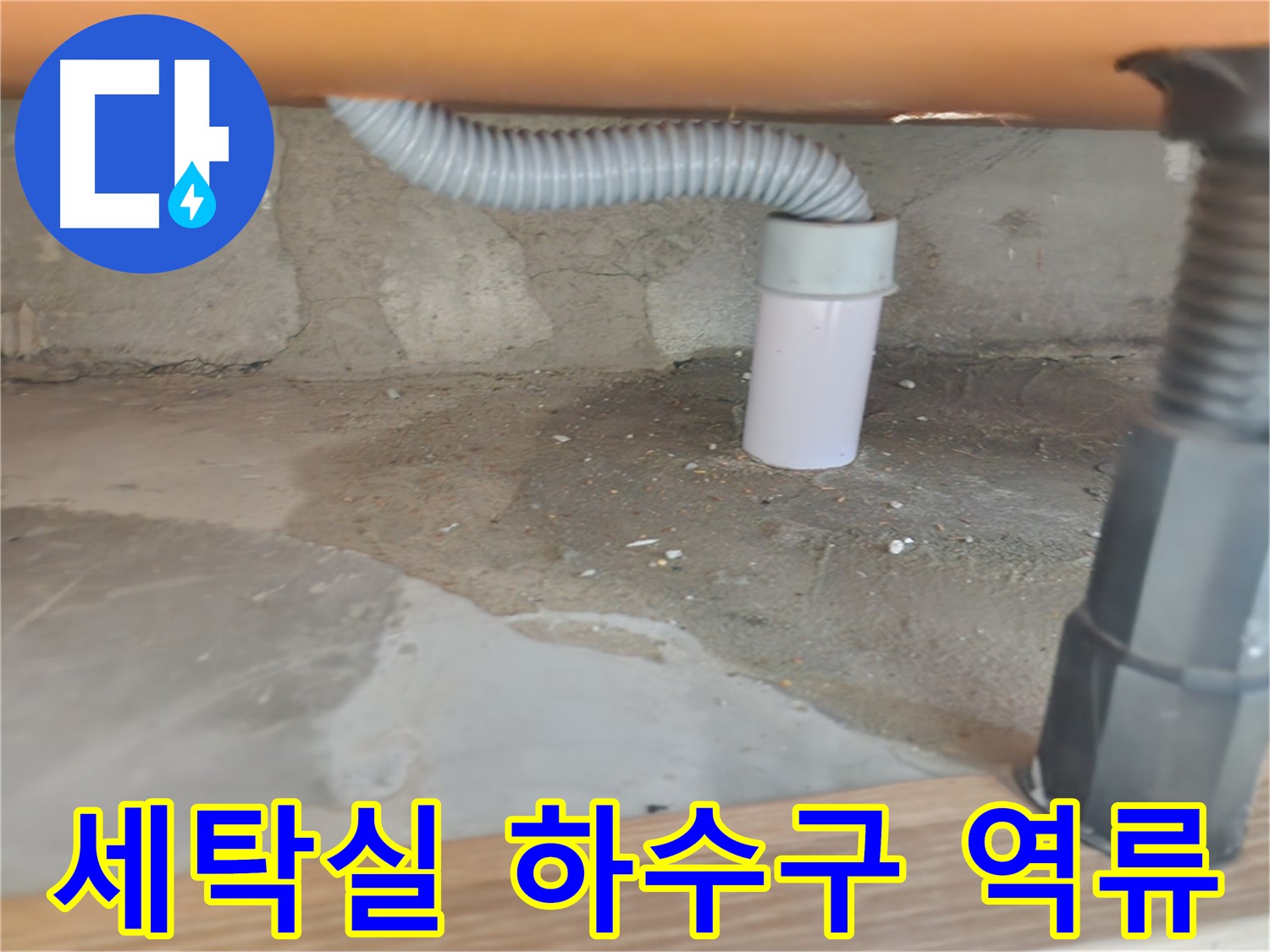 공릉동 아파트 세탁실 하수구 역류 - 긴급 상황 점검