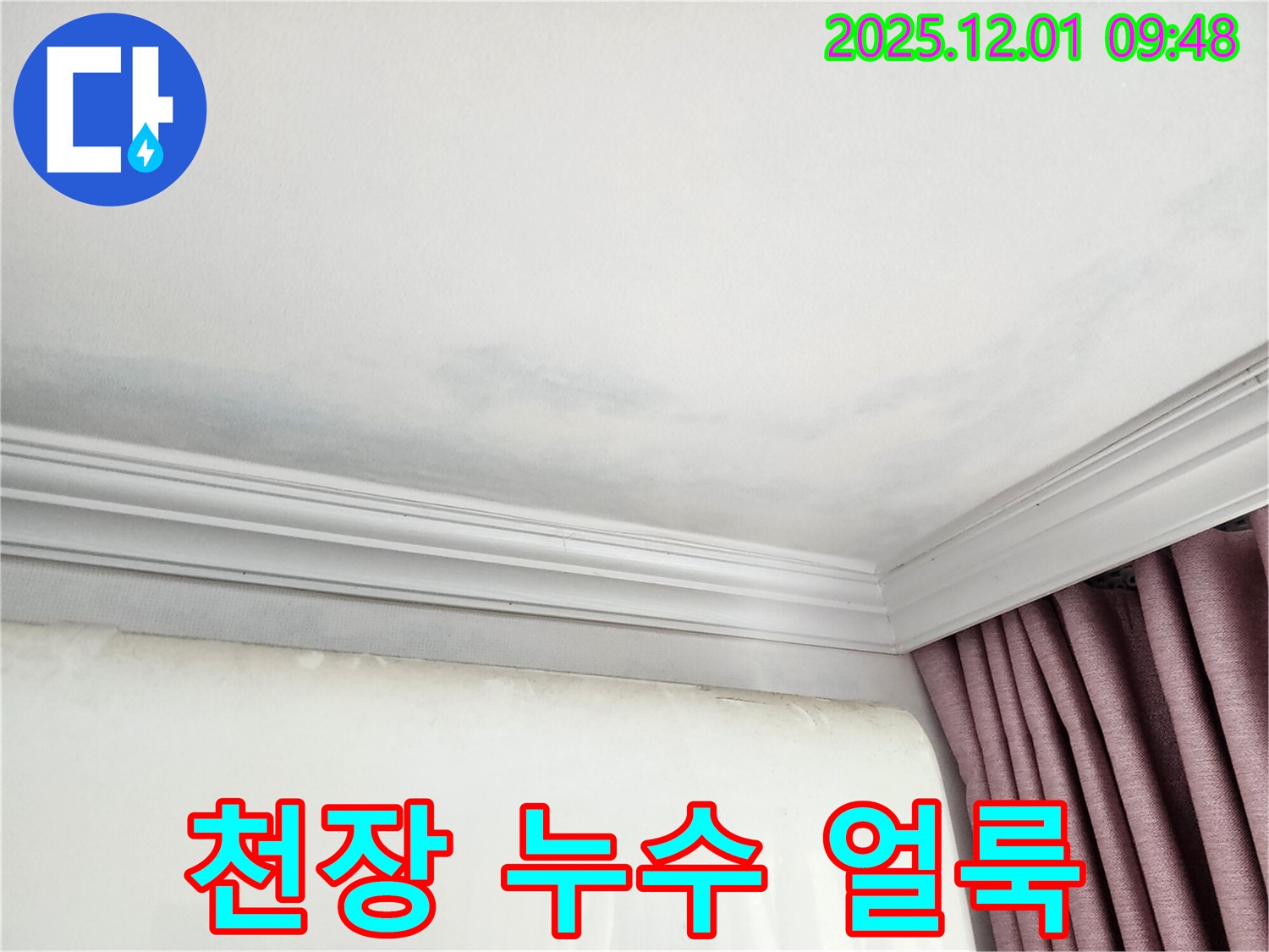 상대원동 아파트 천장 누수 - 초기 누수 얼룩 발견 및 누수 가능성 진단
