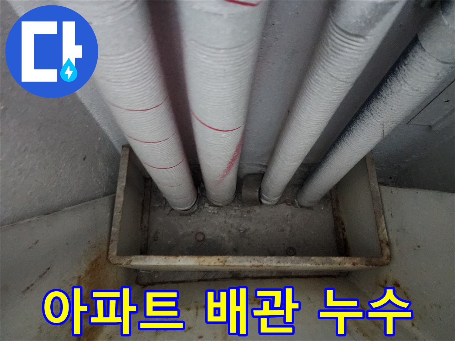 배관 연결 부위 누수 흔적 탐색 - 꼼꼼한 확인