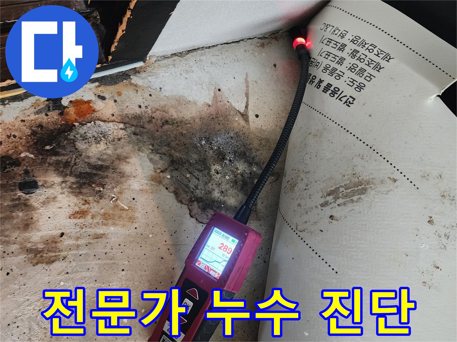 광진구 누수 - 자양동 곰팡이, 전문가의 정확한 진단으로 해결