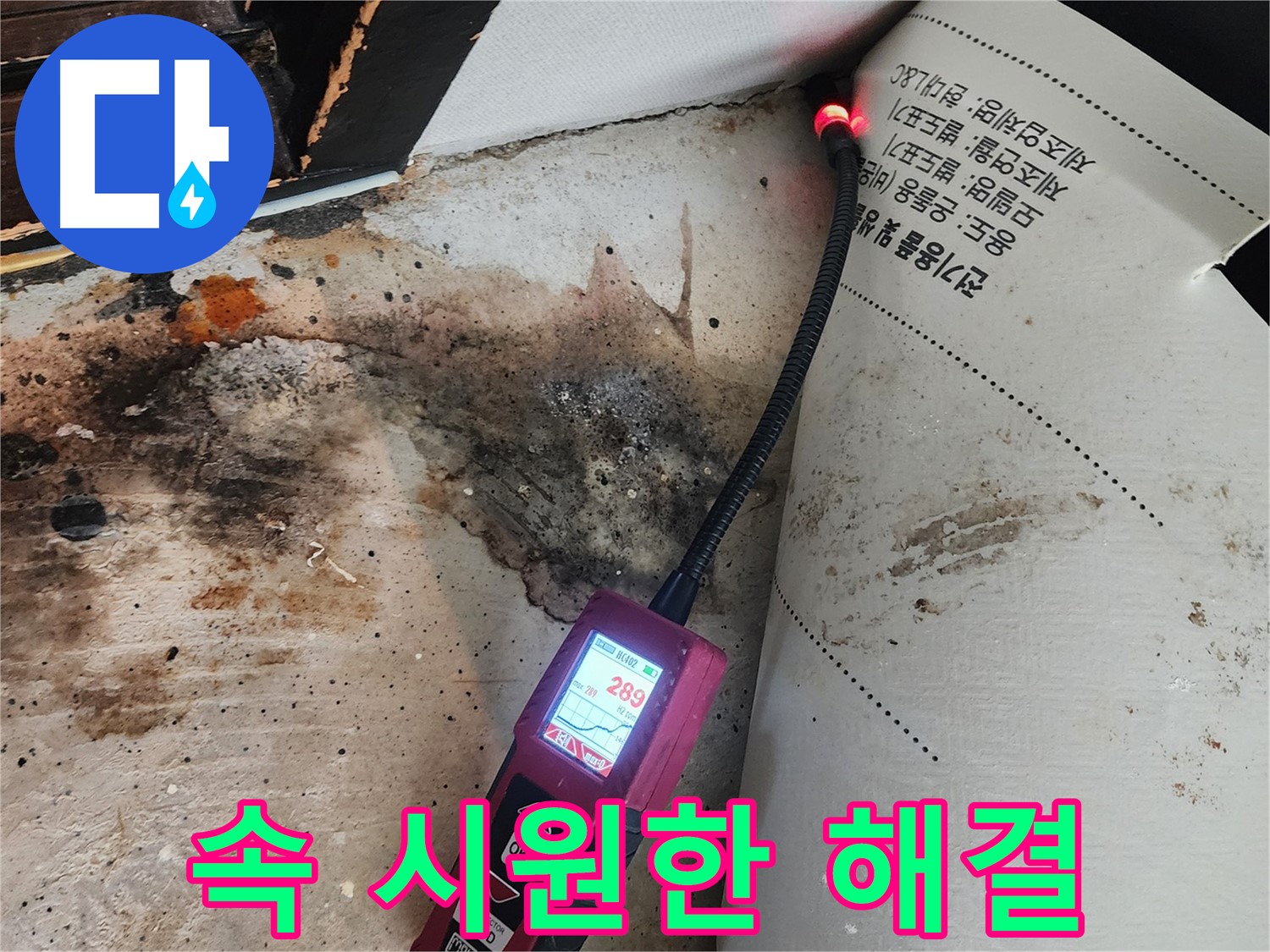광진구 누수탐지 - 자양3동 곰팡이 문제, 내시경으로 속 시원하게 해결