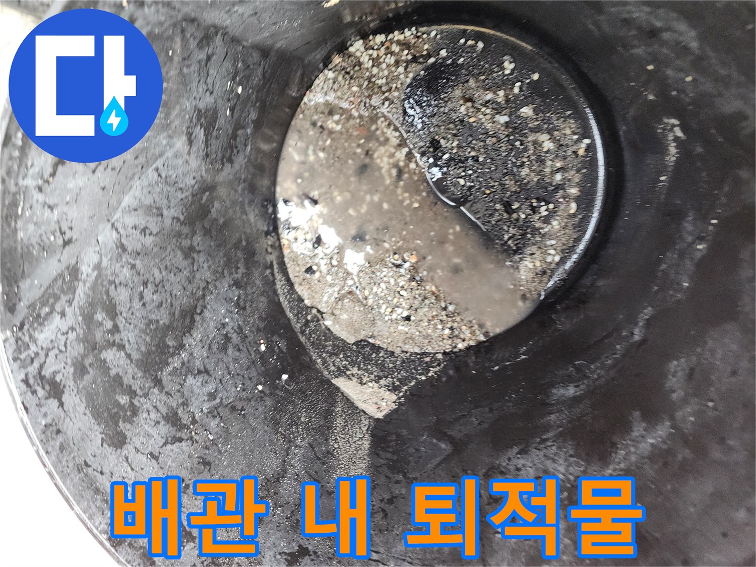 트렌치 배수관에서 수거한 검은색 슬러지 덩어리들