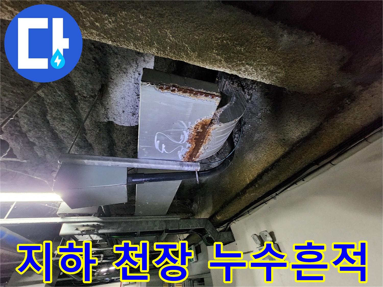 금속 배관 주변의 습기와 콘크리트 구조물의 백화 현상 관찰