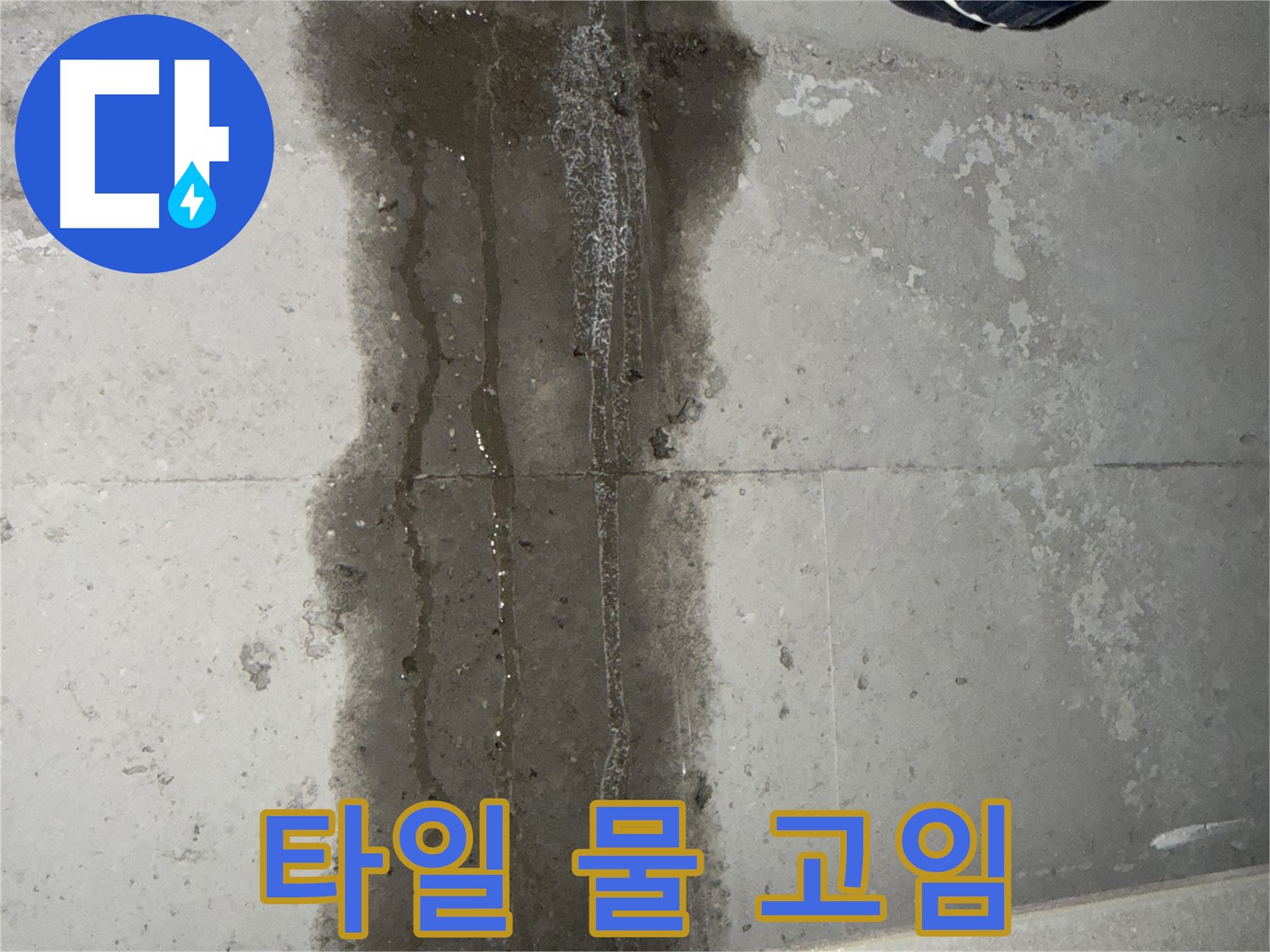 동두천 지행동 아파트 누수 - 욕실 타일 틈새 물 고임 - 심각한 누수