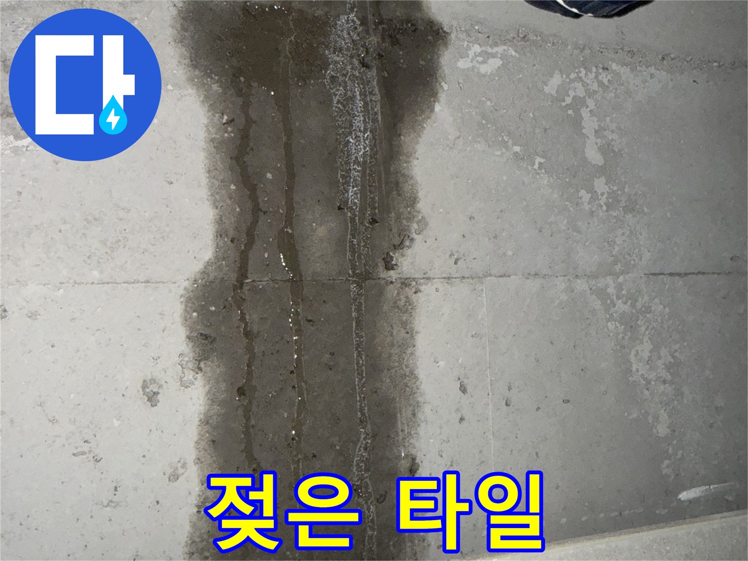 동두천 지행동 아파트 누수 - 젖어있는 타일 - 누수 진행 중