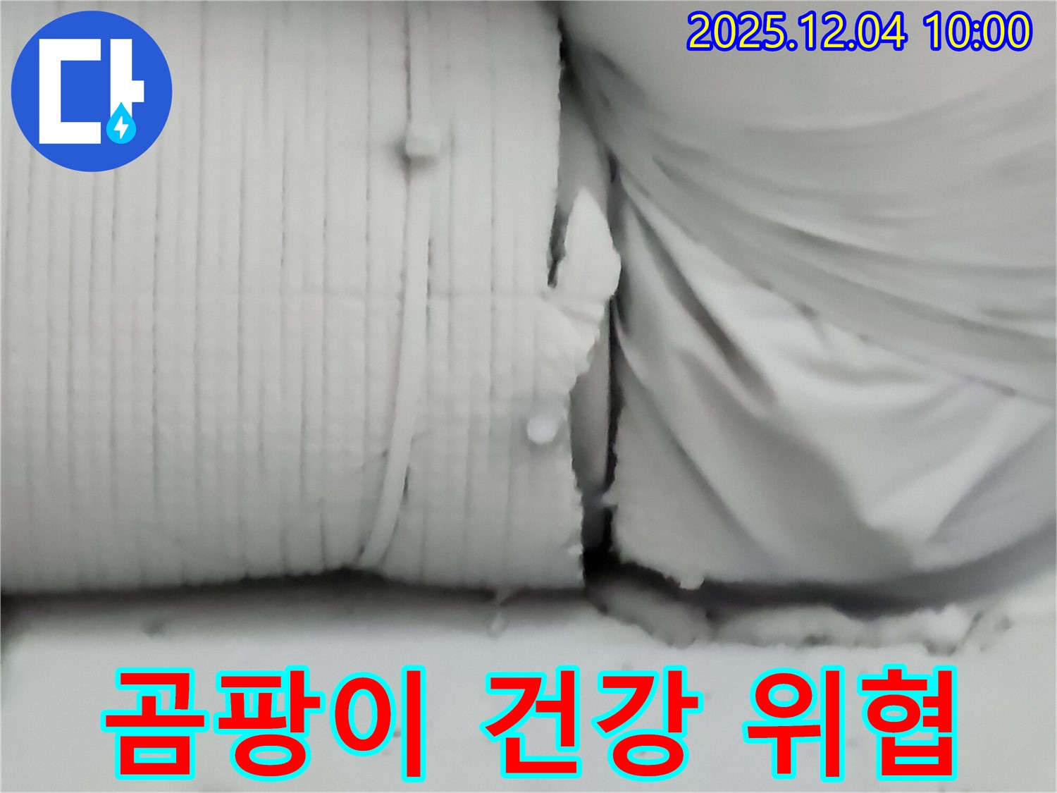 포천시 일동면 유동리 누수 현장 - 보온재 속에 곰팡이가 핀 모습은 누수의 위험 신호이자 건강을 위협하는 요소입니다.