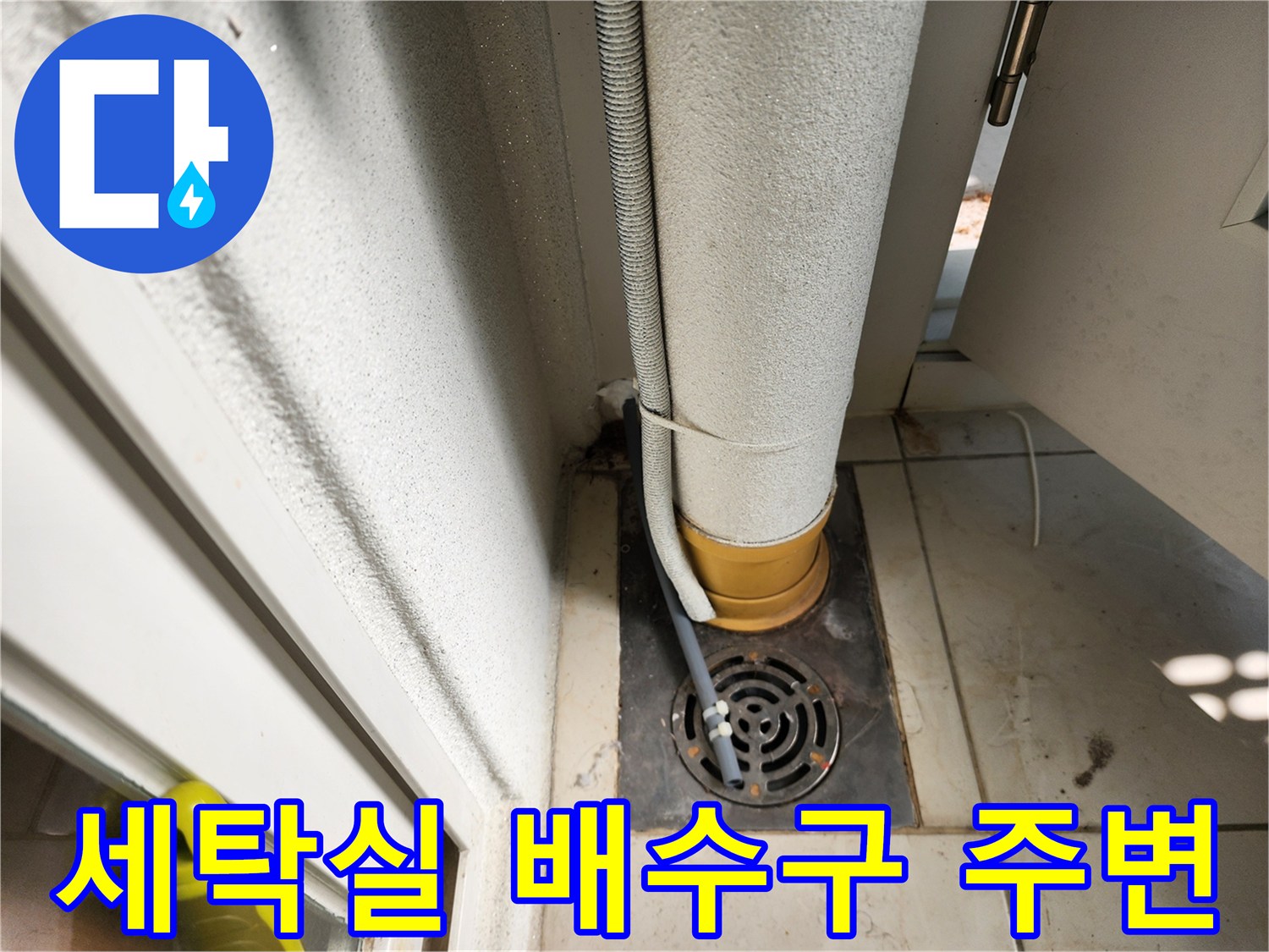 포천 일동면-세탁실 배수구와 하수구 주변 배관 상태
