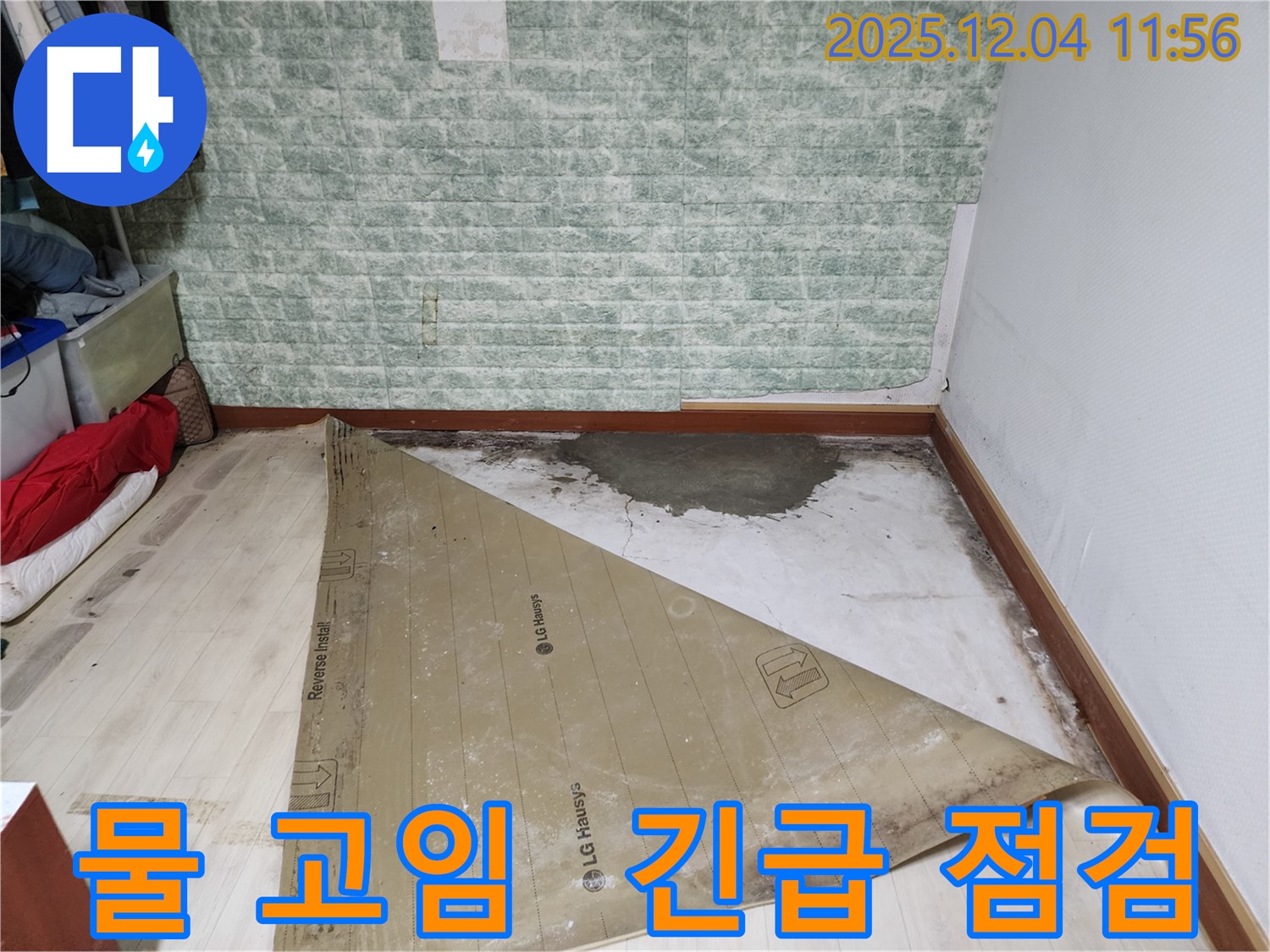 포천시 누수 - 장판 밑 물 고임 긴급 점검