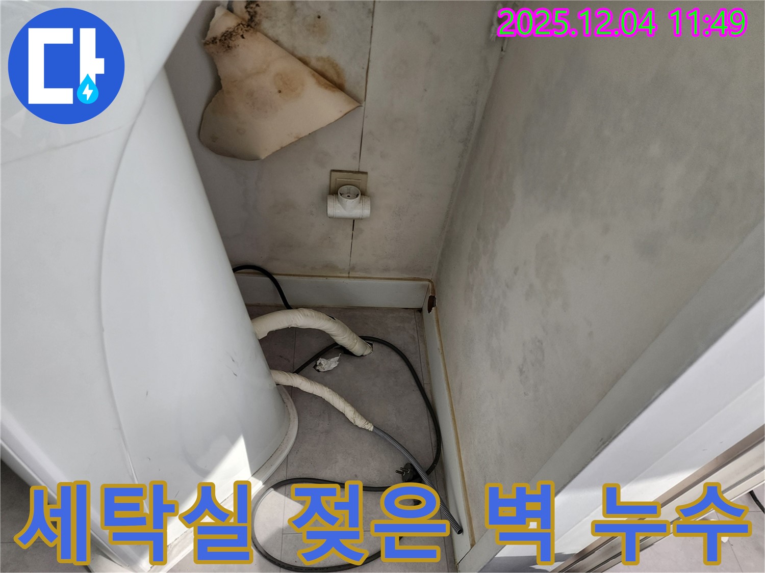 포천시 일동면 - 세탁실 젖은 벽 - 콘센트 곰팡이 - 감전 위험