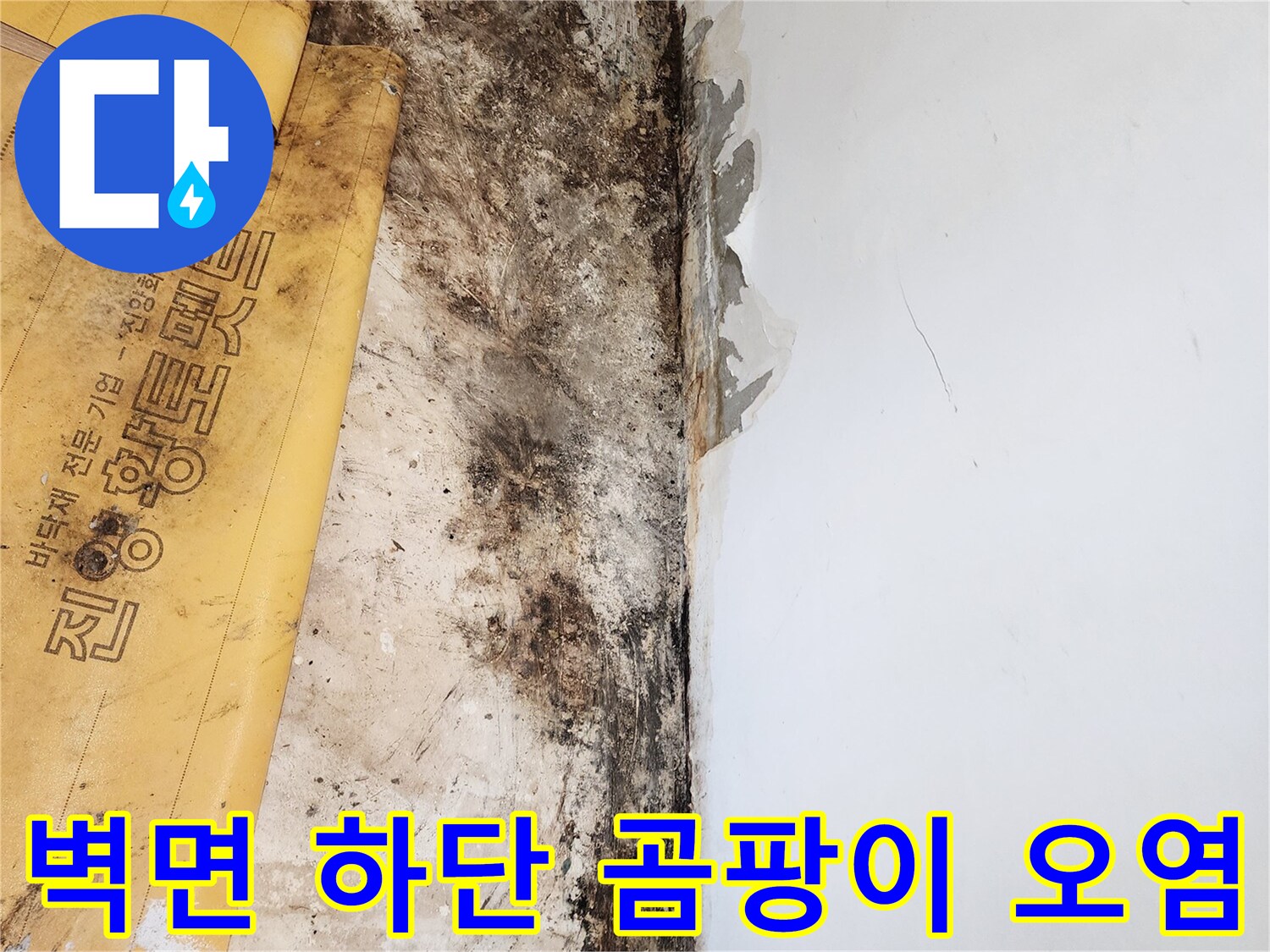 누수로 인해 곰팡이가 발생한 바닥과 벽면 경계