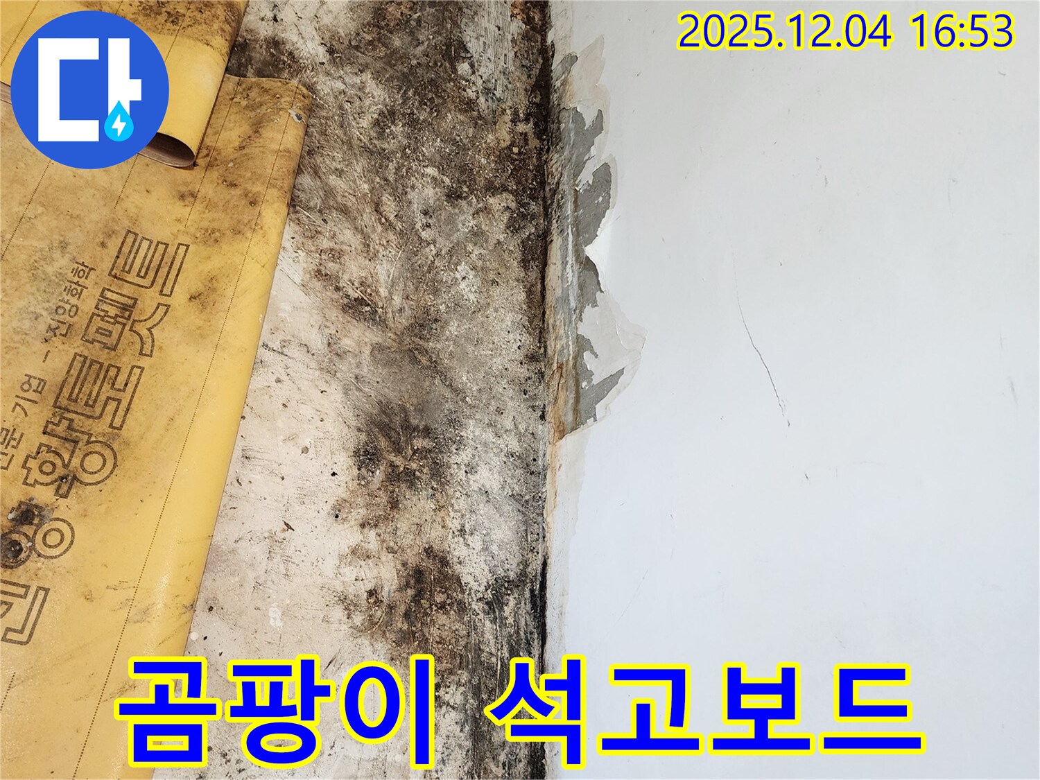 천장 누수로 인한 곰팡이와 석고보드 손상 - 곰팡이 제거 및 석고보드 교체 시공