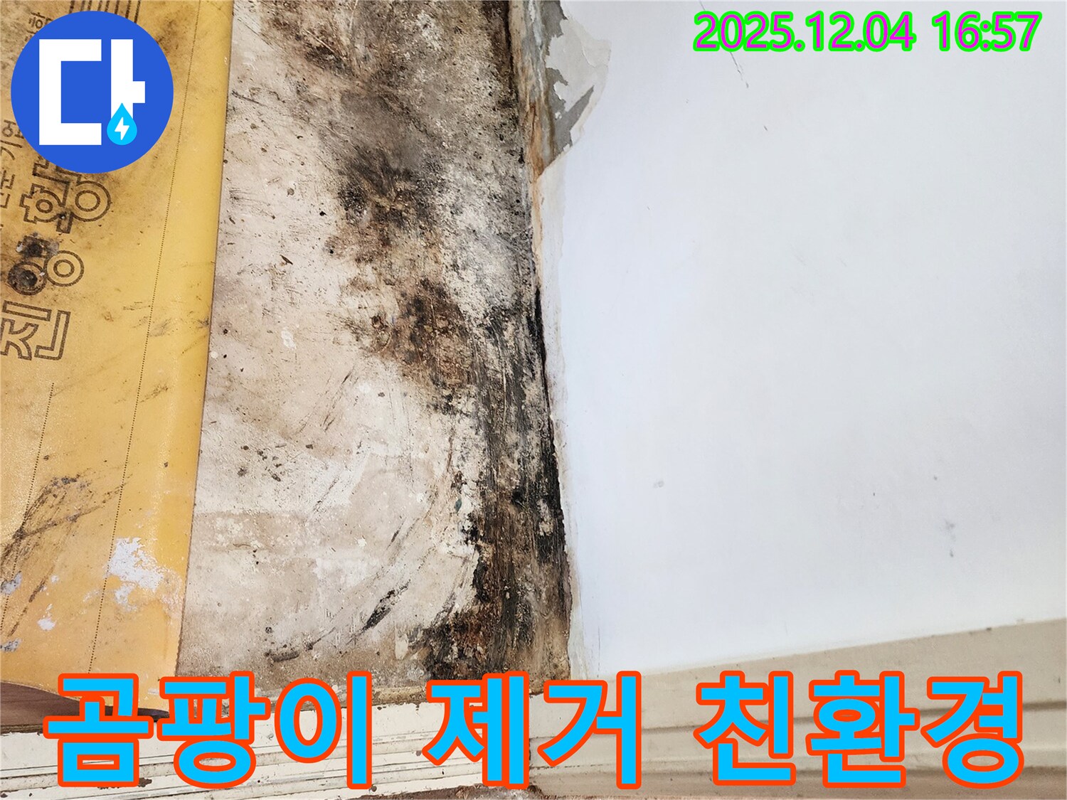 포천 일동면 화대리 누수 - 곰팡이 제거 후 친환경 항균 시공
