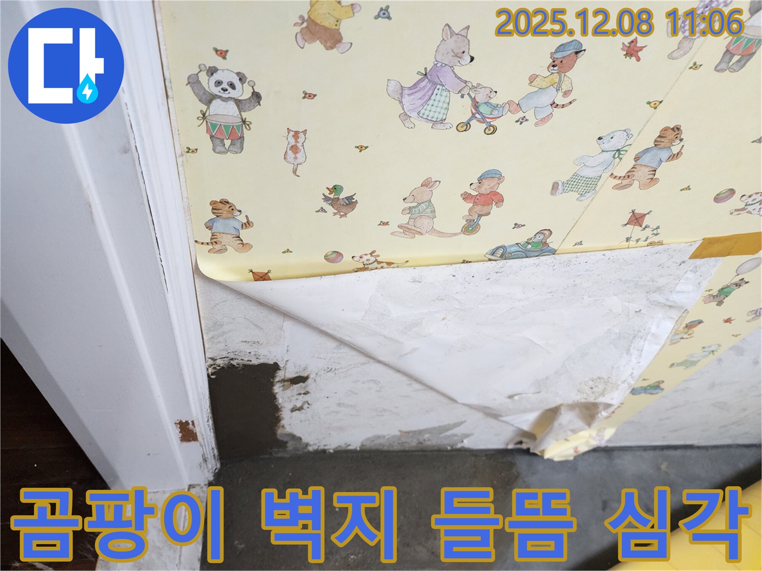 포천 영중면 거사리 누수 현장 - 곰팡이 핀 들뜬 벽지, 심각한 누수 상황