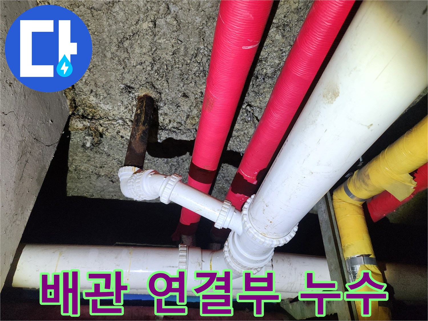 노원구 월계동 배관 연결부 누수 - 꼼꼼한 점검으로 완벽 해결