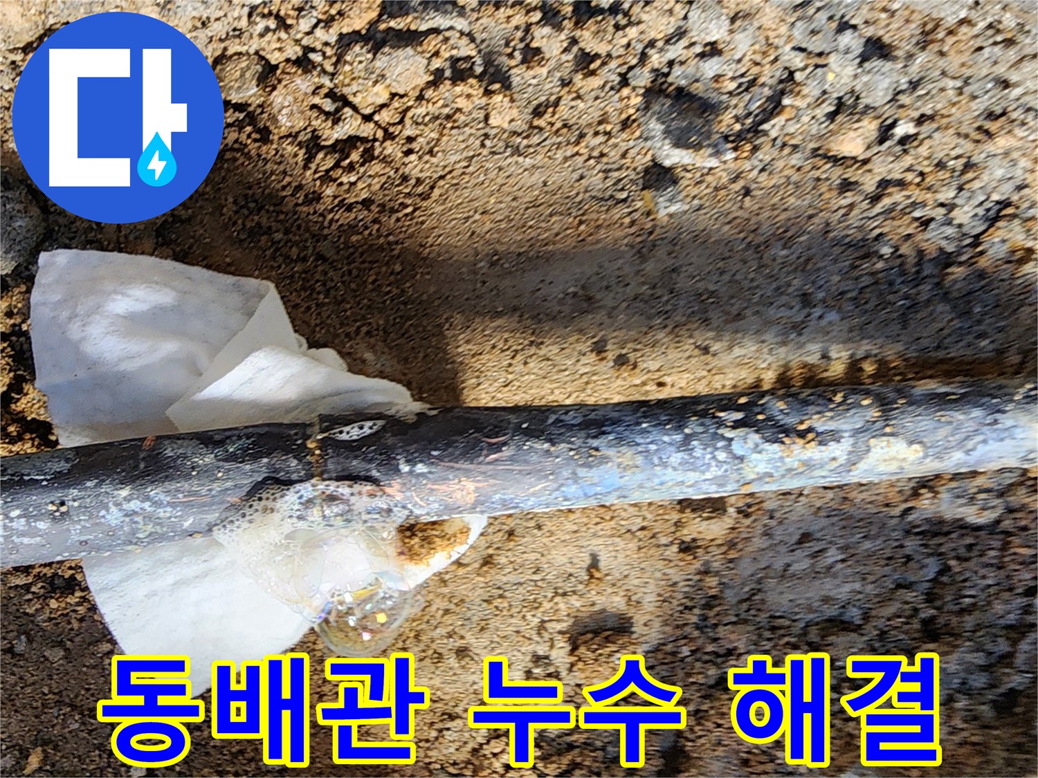 노원구 월계동 삼호아파트 - 동배관 누수를 완벽하게 해결한 현장 - 누수 걱정 끝!
