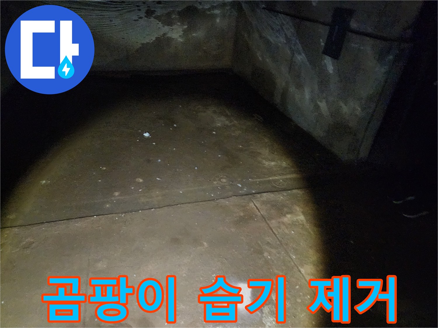 노원구 월계동 삼호아파트 지하 누수 - 곰팡이와 습기를 완벽하게 제거하는 누수 공사 현장입니다.