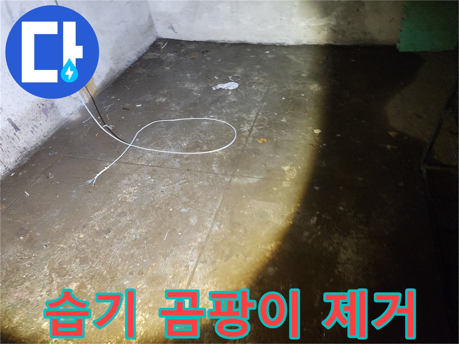 월계동 삼호아파트 지하 습기 - 곰팡이 OUT! 쾌적한 공간으로!
