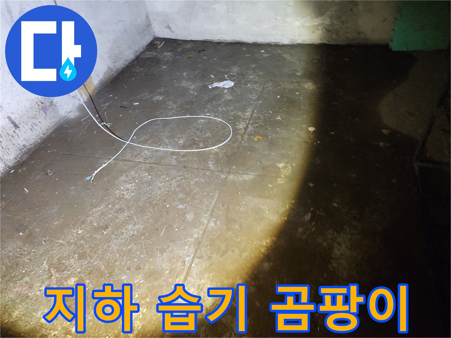 월계동 아파트 지하 습기와 곰팡이 문제 - 누수 해결로 쾌적한 환경을 만드세요.