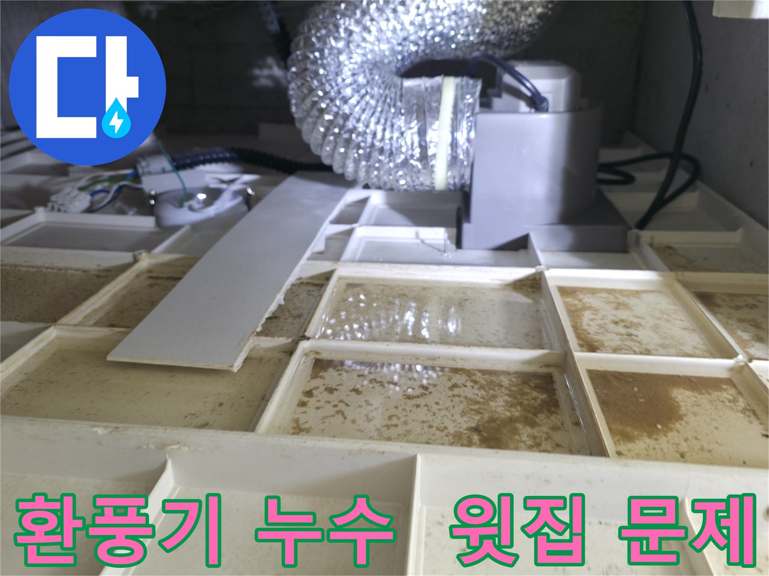 천장 환풍기 누수 - 윗집 누수 문제 여부 확인을 위한 진단