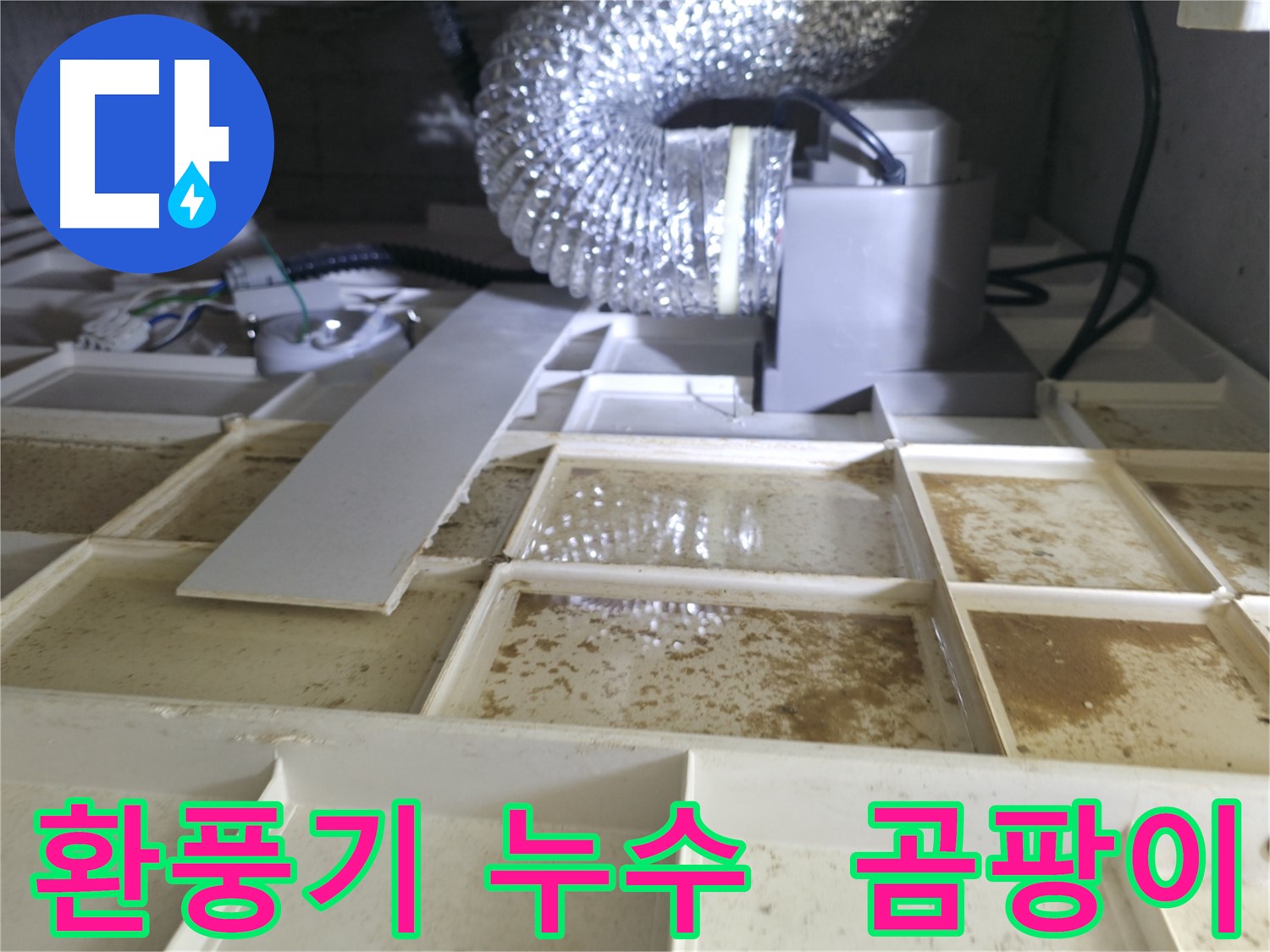 천장 환풍기 누수로 인한 곰팡이 발생 - 누수 원인 해결 및 곰팡이 제거