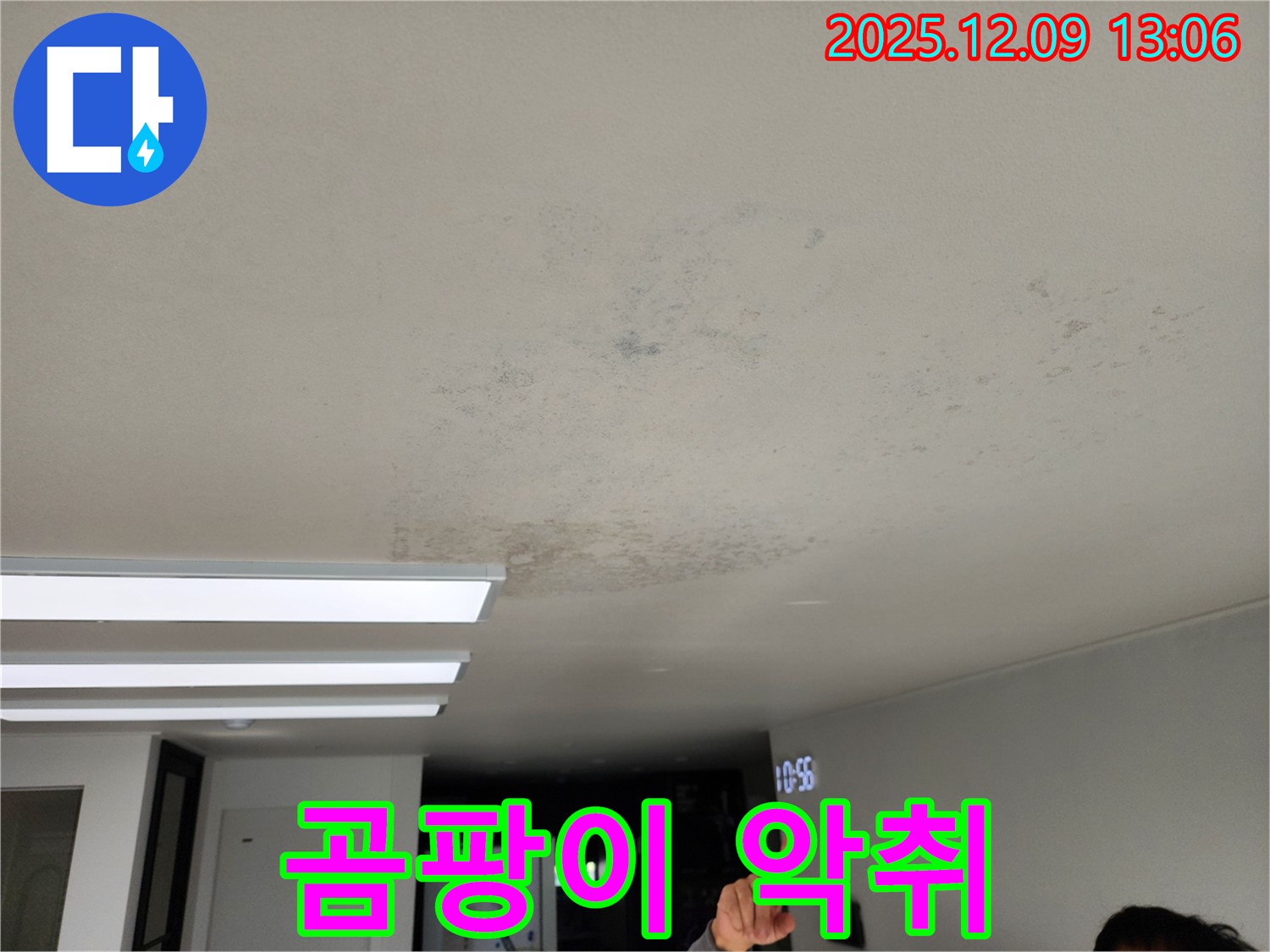 곰팡이 악취 - 포천시 영중면 누수 현장에서 곰팡이로 인한 악취 발생 가능성을 보여줍니다.