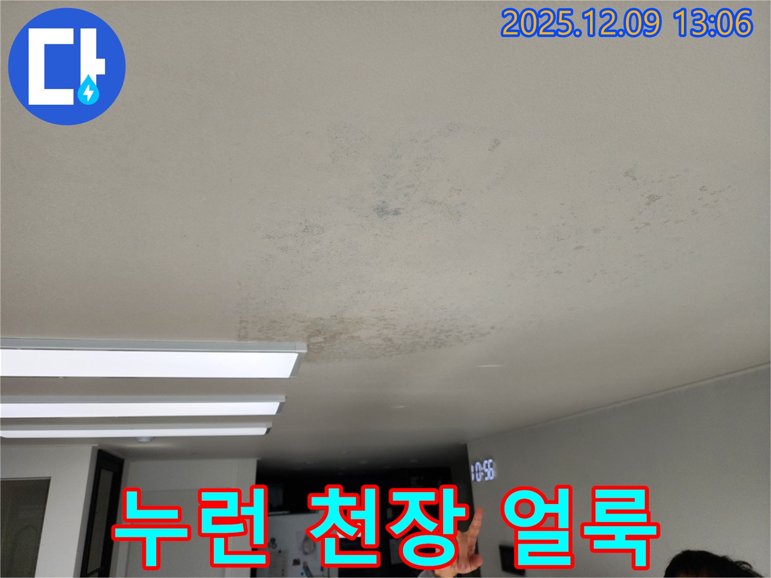 누런 천장 얼룩 - 포천 영중면 누수 현장에서 발견된 누런 천장 얼룩, 오래된 누수일 가능성이 높습니다.
