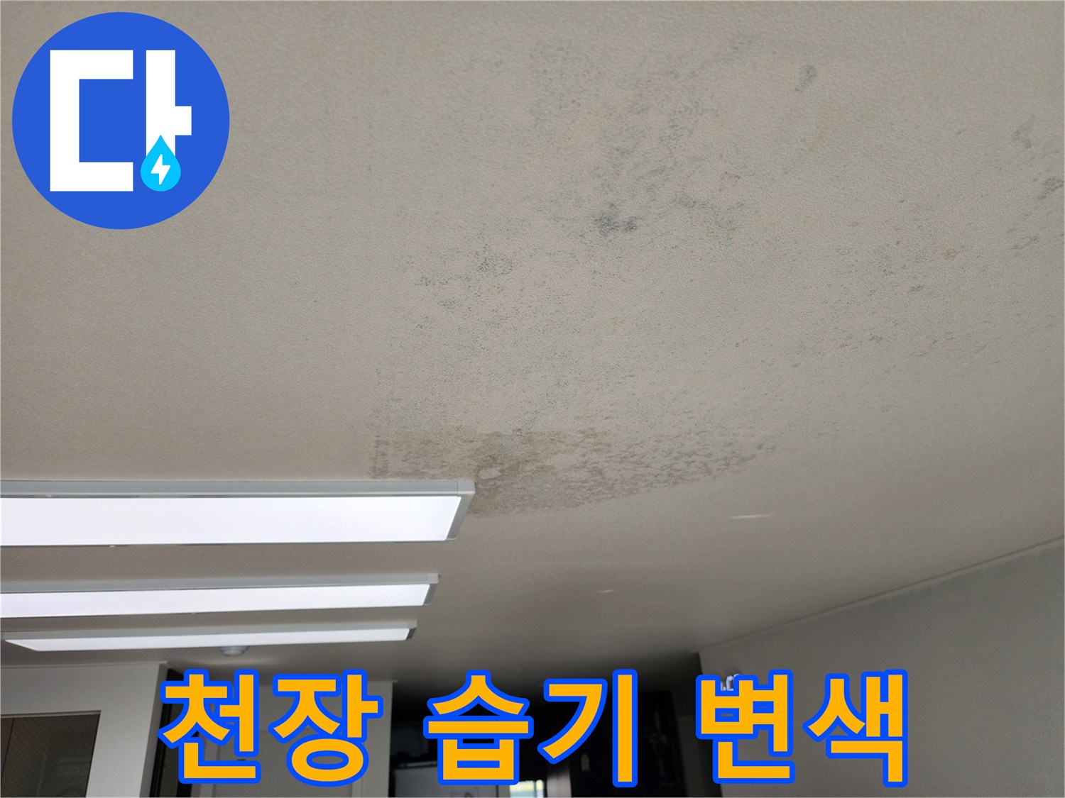 물샘으로 인해 젖어 있는 천장 벽지 상태
