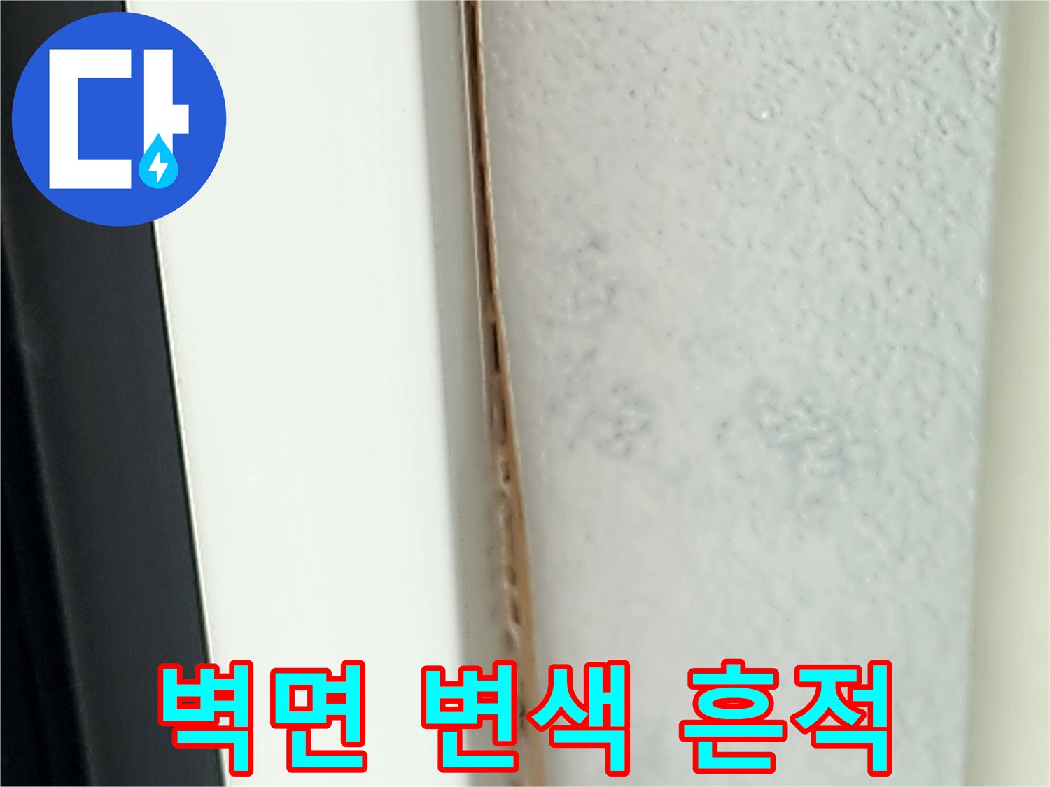벽면 하단부의 젖은 얼룩과 어두운 변색 부위