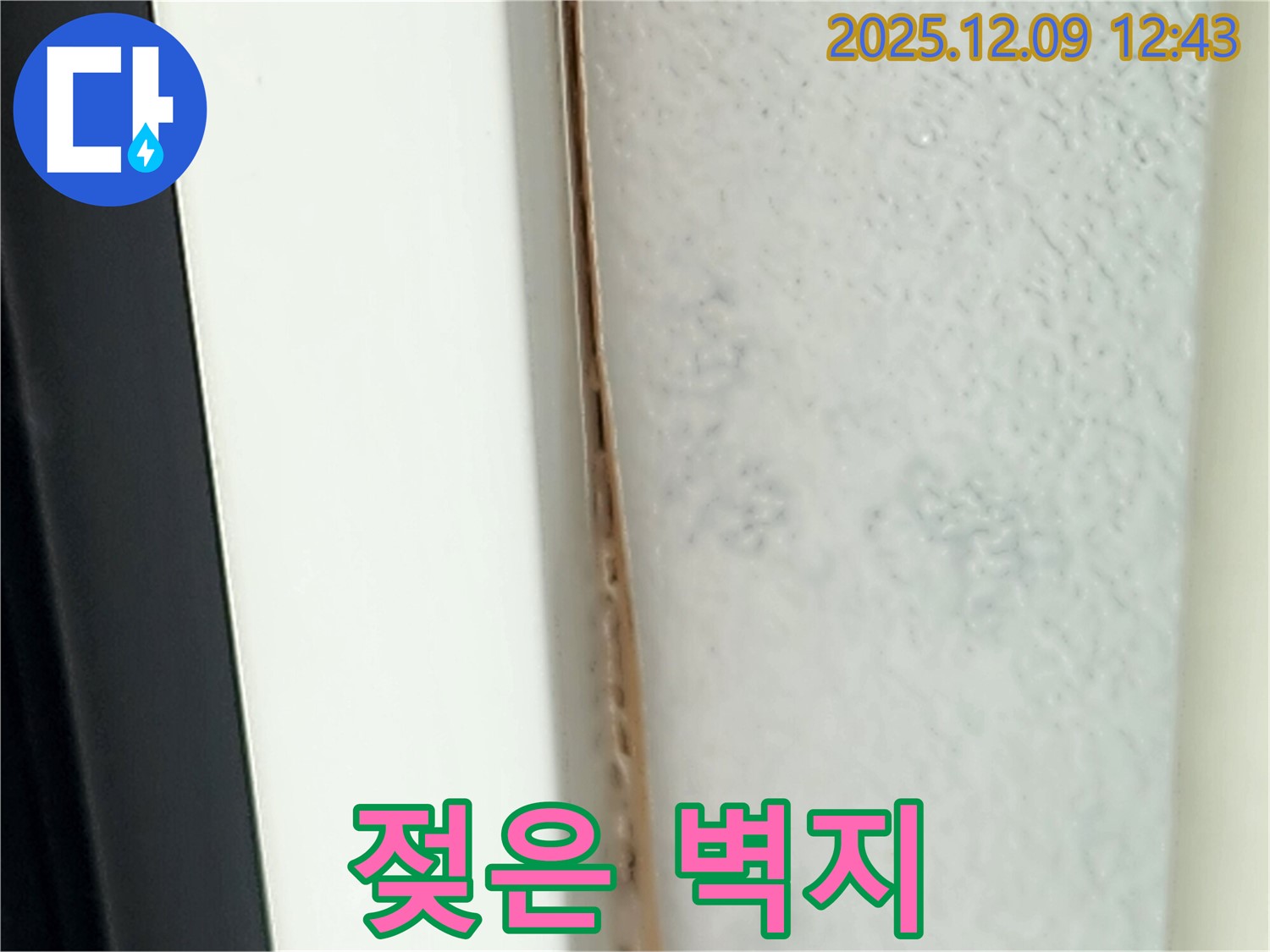 벽지가 젖어 있는 모습 - 누수의 명백한 증거이며 - 빠른 조치가 필요합니다.