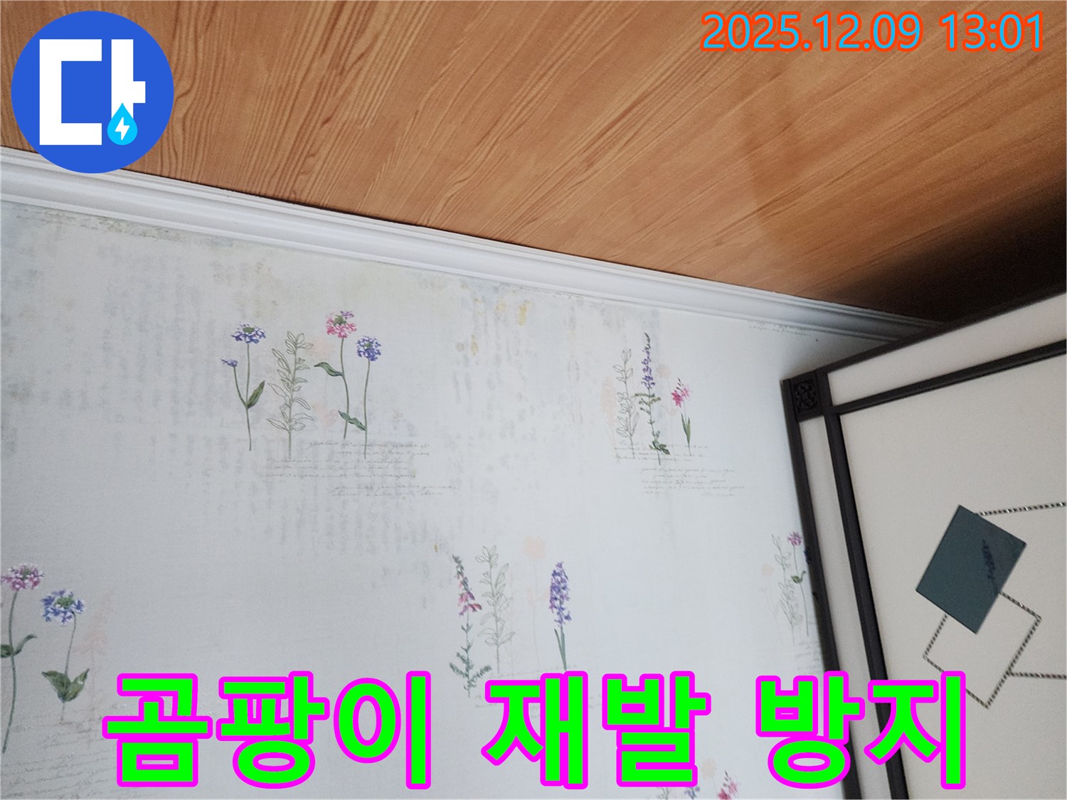 성동리 누수 현장 - 곰팡이 완벽 제거 재발 걱정 끝