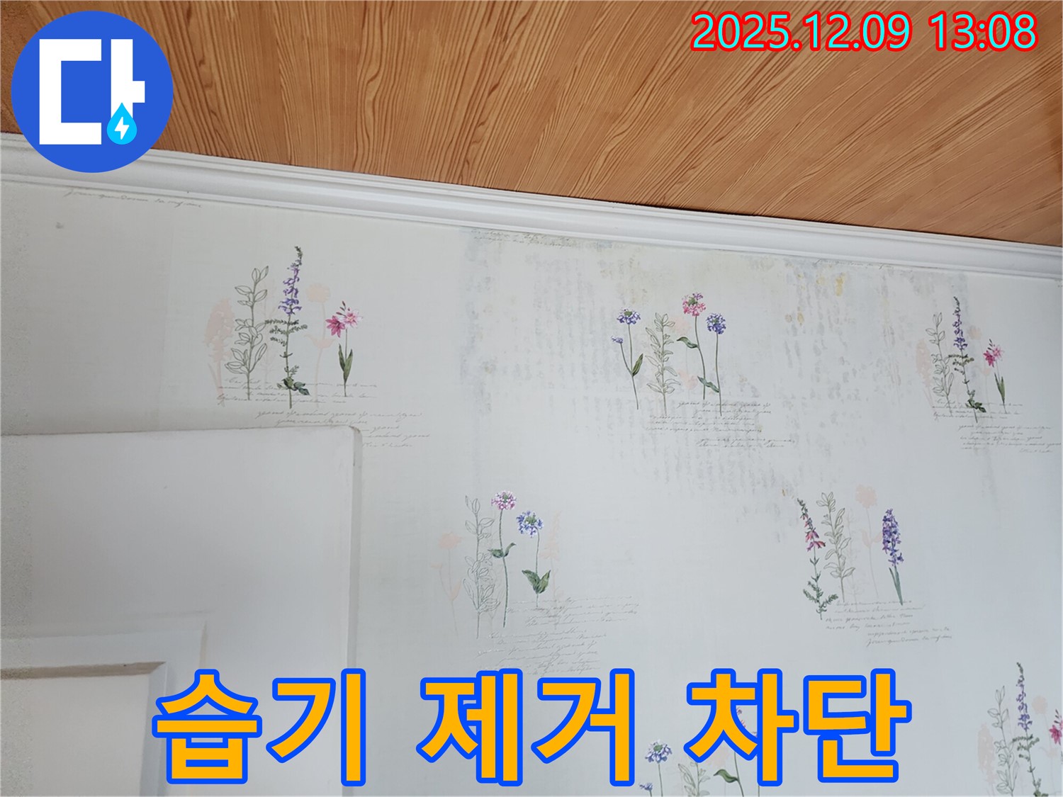 습기 제거 - 곰팡이 차단 - 완벽 시공
