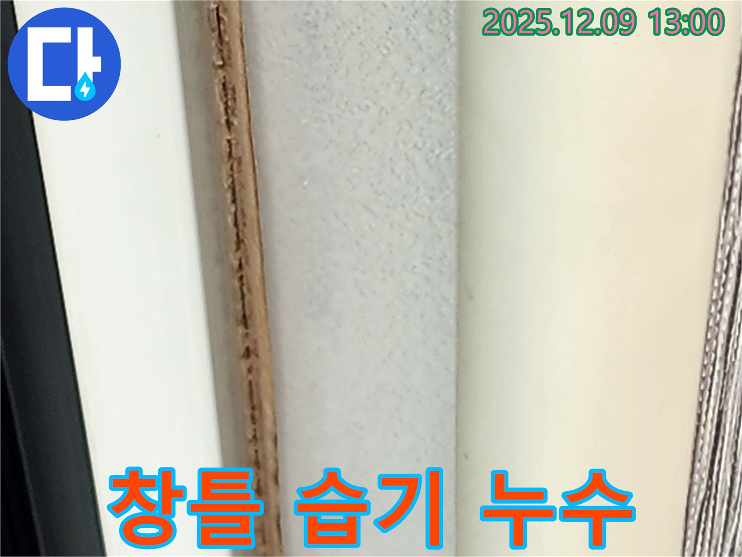 창틀 습기 - 창틀 주변에 습기가 차는 것은 누수의 초기 증상일 수 있습니다.