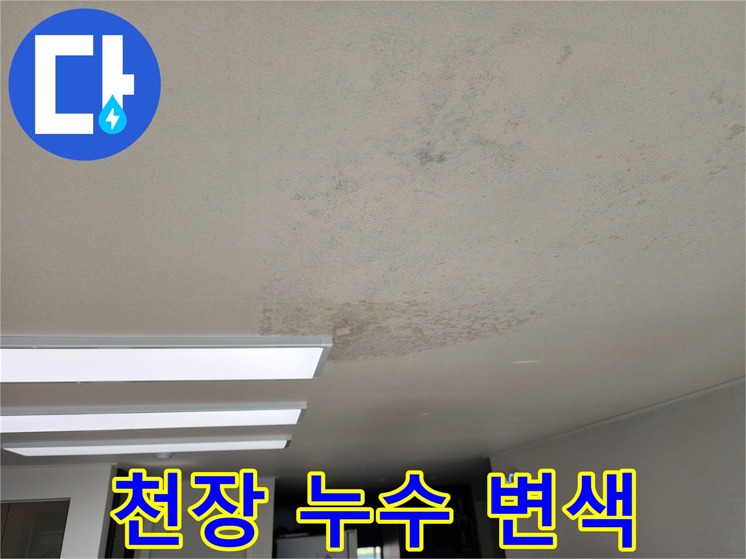 천장-벽면-누수로-오염된-상태