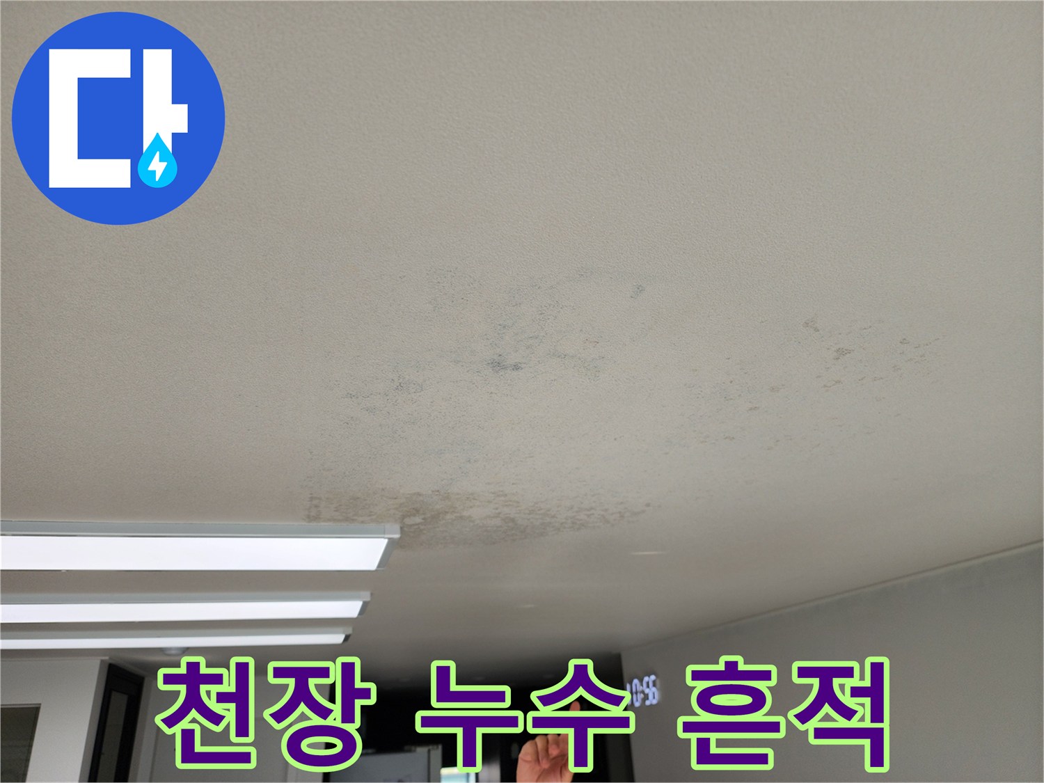 천장 천장재 표면에 나타난 곰팡이와 물샘 자국