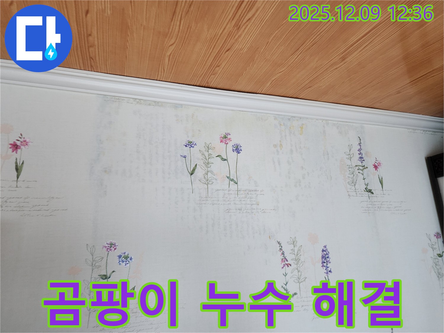 포천 누수 문제 해결 - 곰팡이 문제까지 완벽하게 해결하는 누수 공사