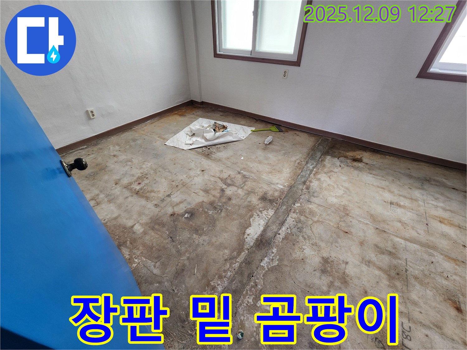 포천시 영중면 성동리 누수 - 장판 밑 곰팡이는 숨겨진 누수의 신호일 수 있습니다.