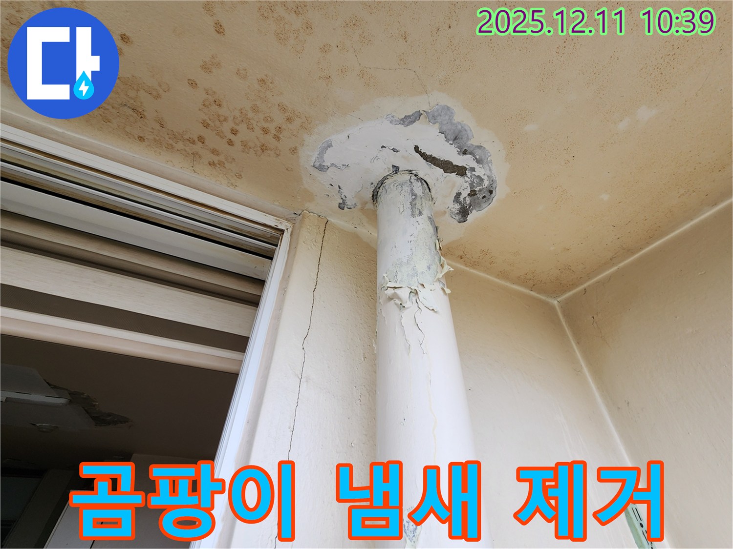 곰팡이 냄새 - 천장 누수 - 제거 시공