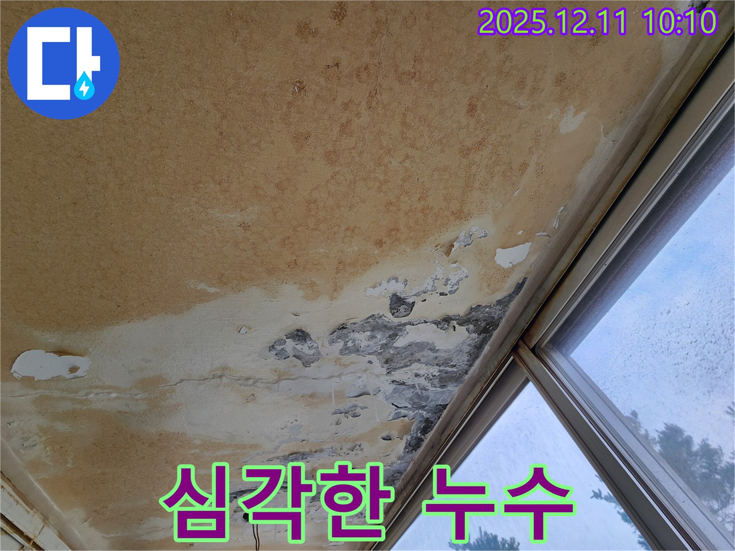 곰팡이와 벗겨진 페인트로 뒤덮인 천장 - 심각한 누수 상태