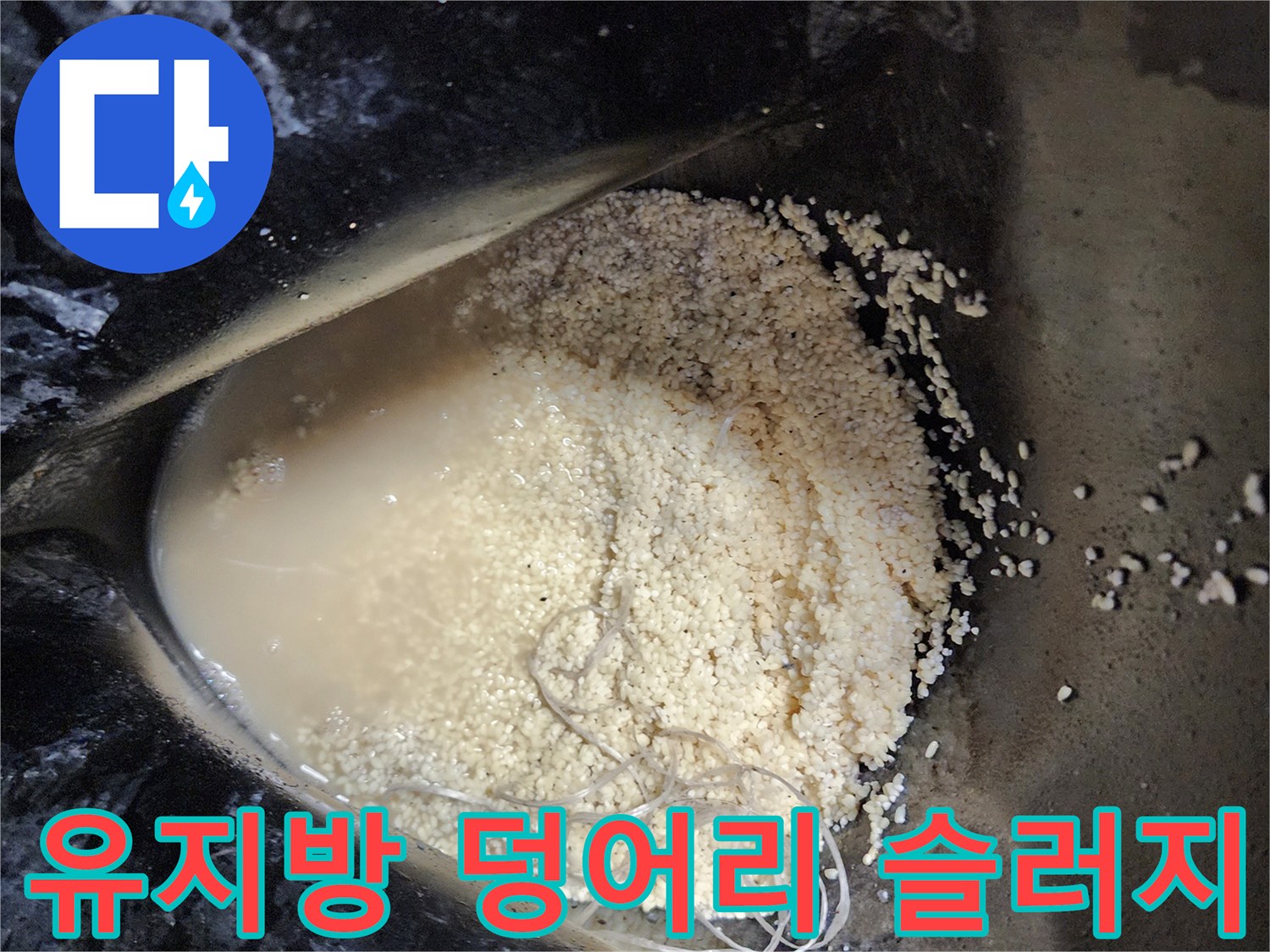 석션 작업 결과물-배수관에서 나온 기름 찌꺼기와 오물