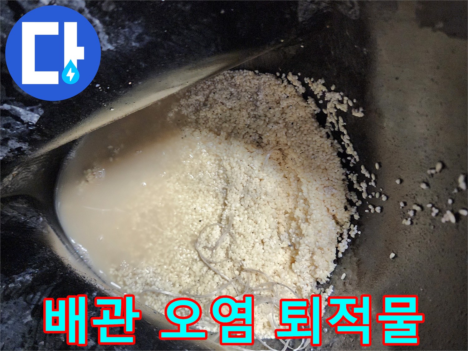 석션 작업 후 수거된 배수관 내부의 누런 기름 슬러지