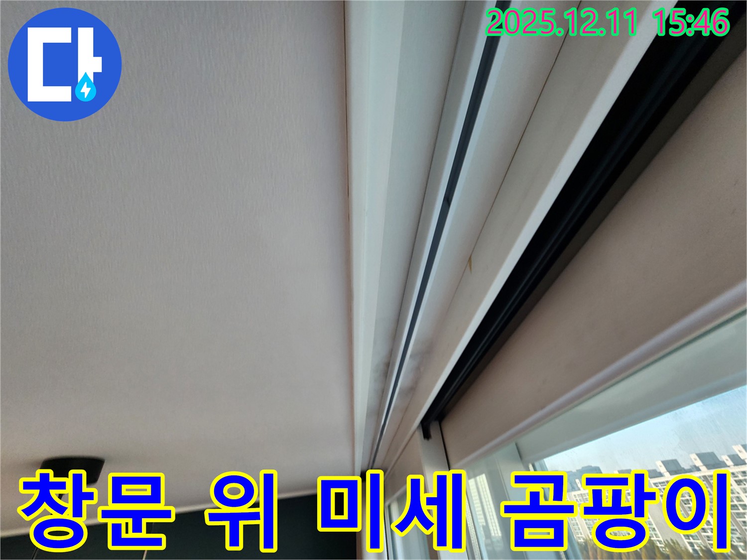 남궁리 창문 위 미세 곰팡이 - 완벽 방수 시공 준비 완료