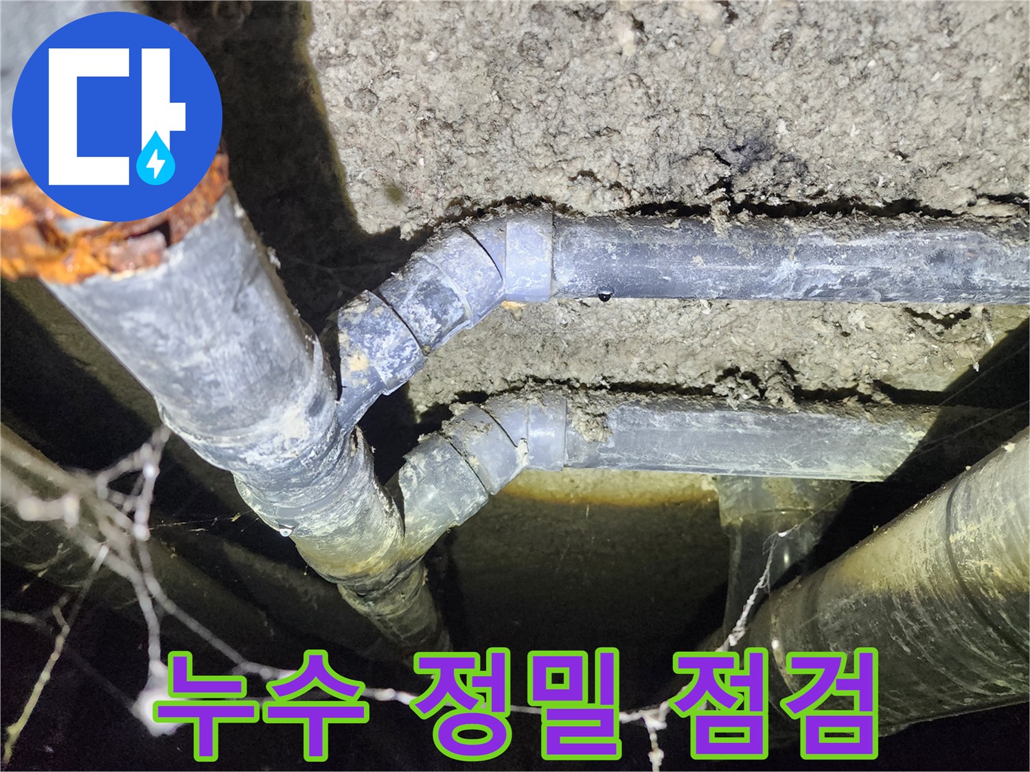성북구 누수 점검 - 보문동 아남아파트 지하실 천장 누수 정밀 진단