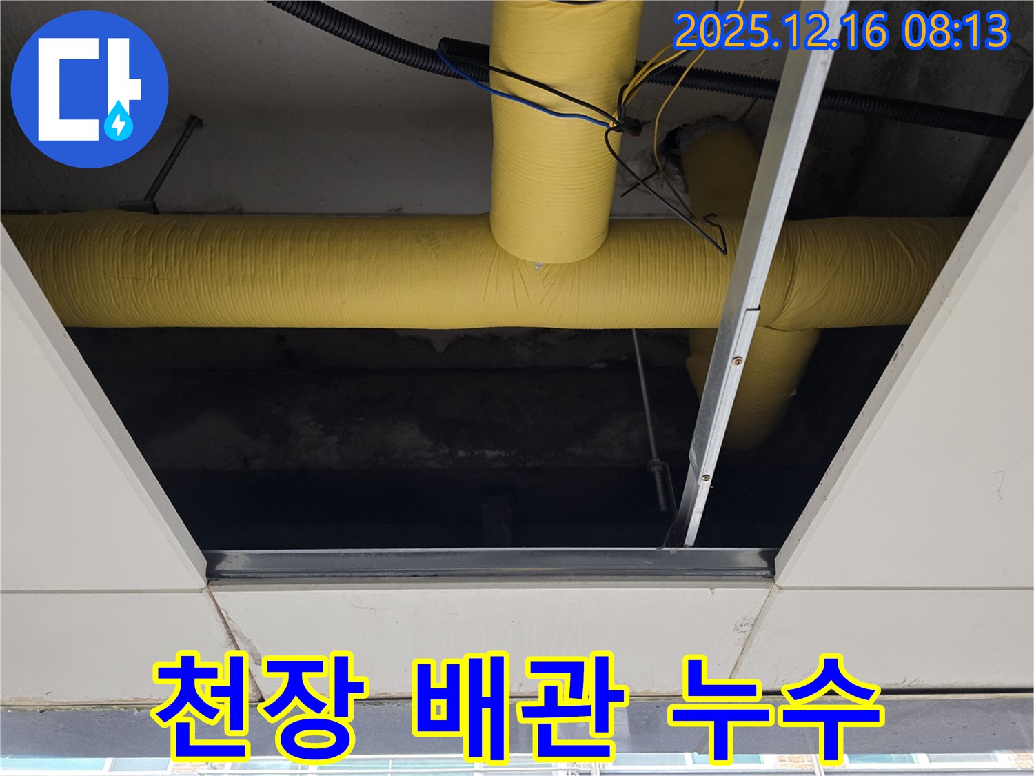 아파트 천장 누수 - 배관 손상 - 누수탐지 전문 업체의 신속한 해결