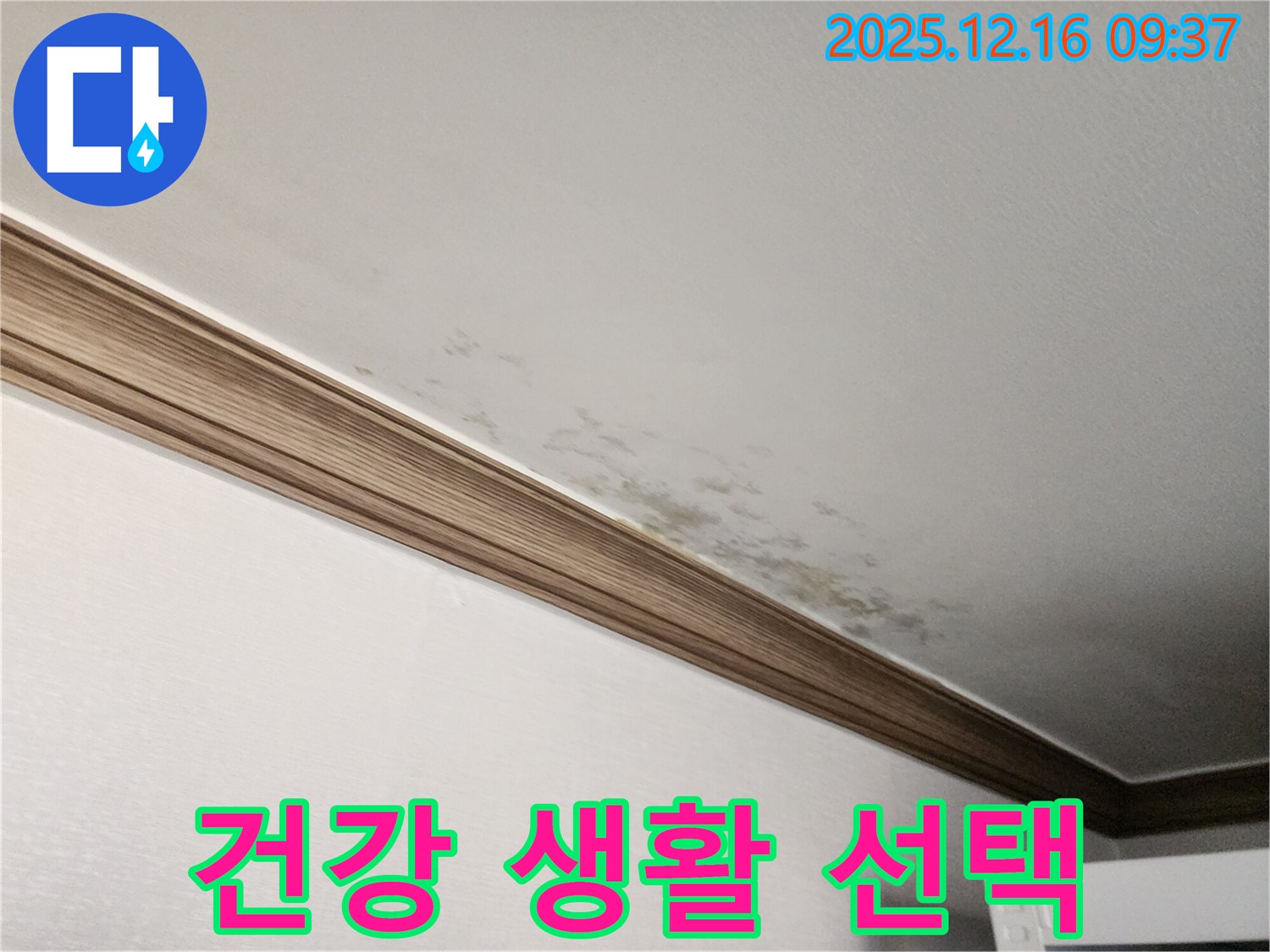 경기도 포천시 영북면 운천리 누수 - 천장 곰팡이, 건강한 생활을 위한 필수 선택