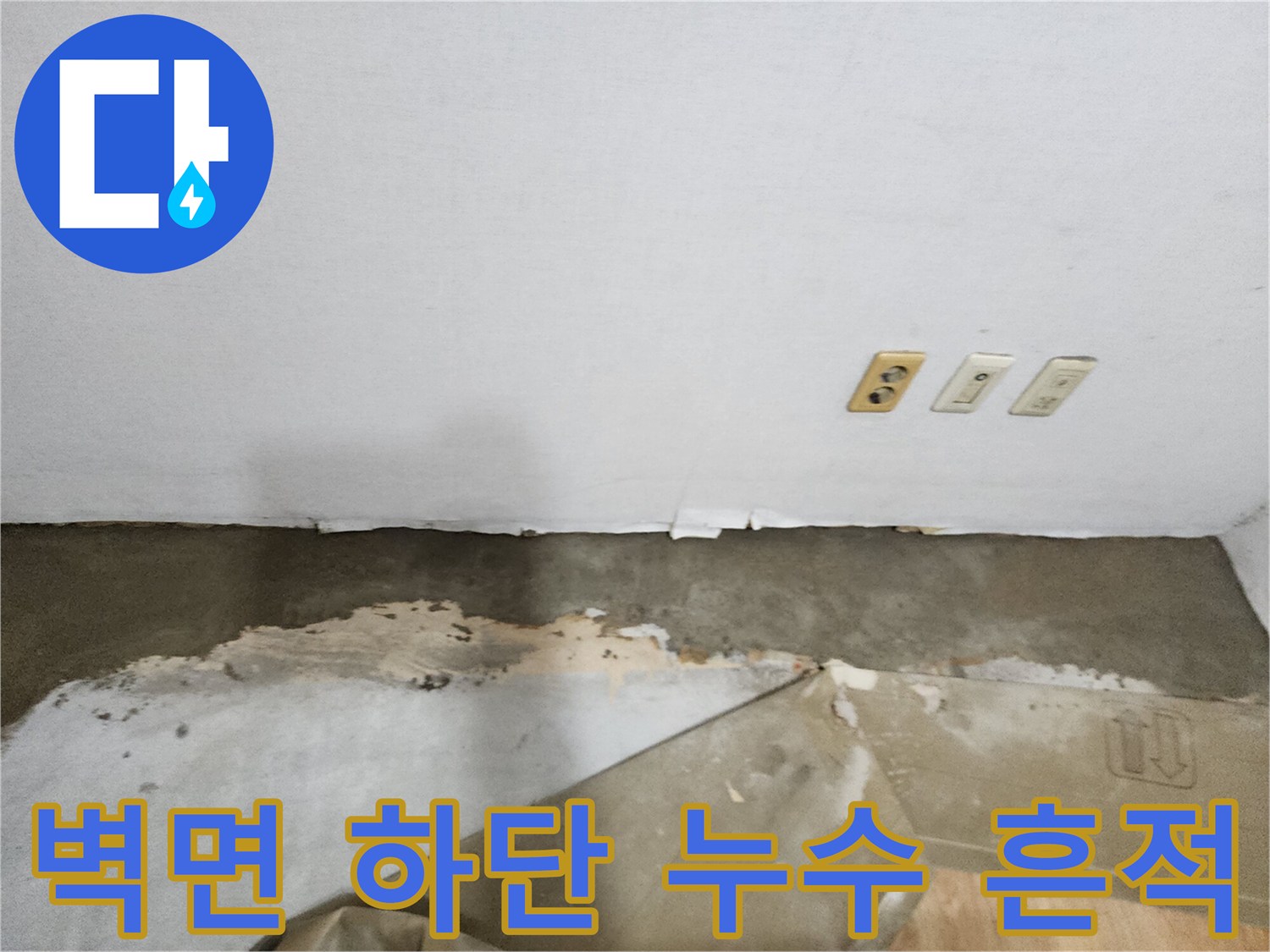 곰팡이 핀 벽지와 파헤쳐진 바닥 상태