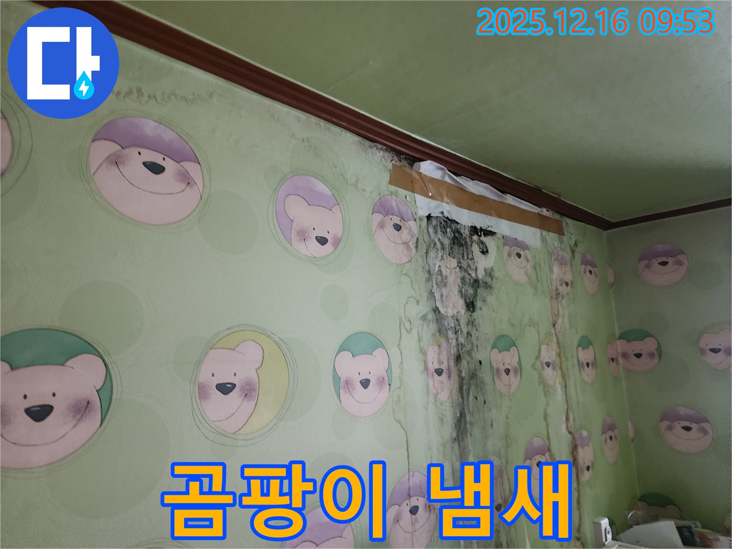 곰팡이로 인해 불쾌한 냄새가 나는 벽 - 곰팡이 냄새 제거와 함께 쾌적한 공간으로 만들어 드립니다.