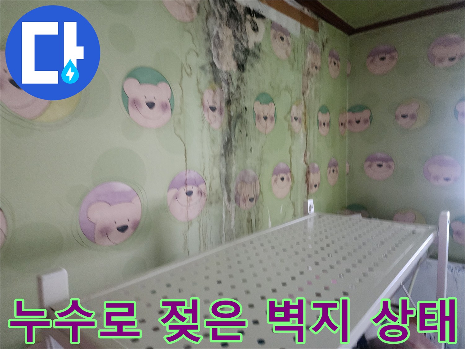 습기로 인해 눅눅해지고 곰팡이가 생긴 캐릭터 벽지