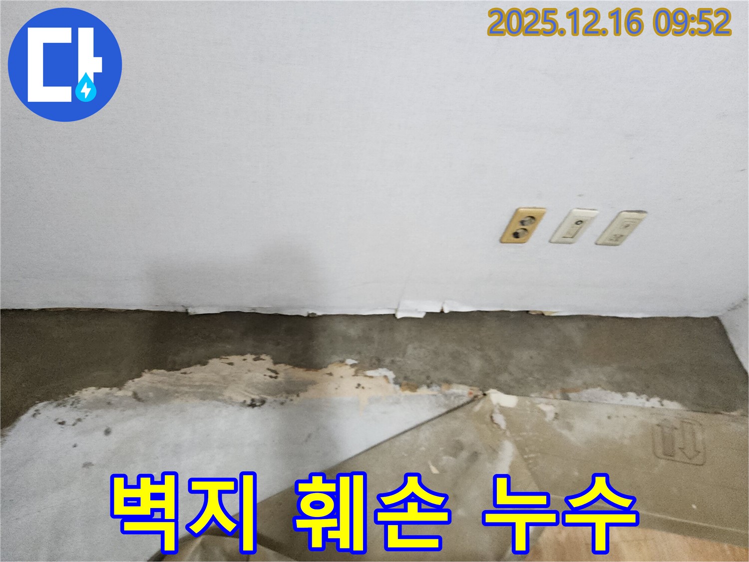운천리 누수 현장 - 벽지 훼손 뒤에 숨겨진 누수를 탐지하는 전문적인 과정을 보여줍니다.