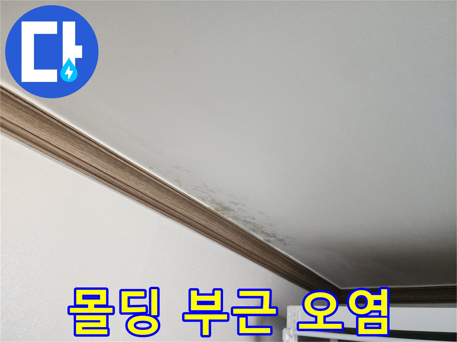 천장-경계-부분의-심한-변색과-곰팡이
