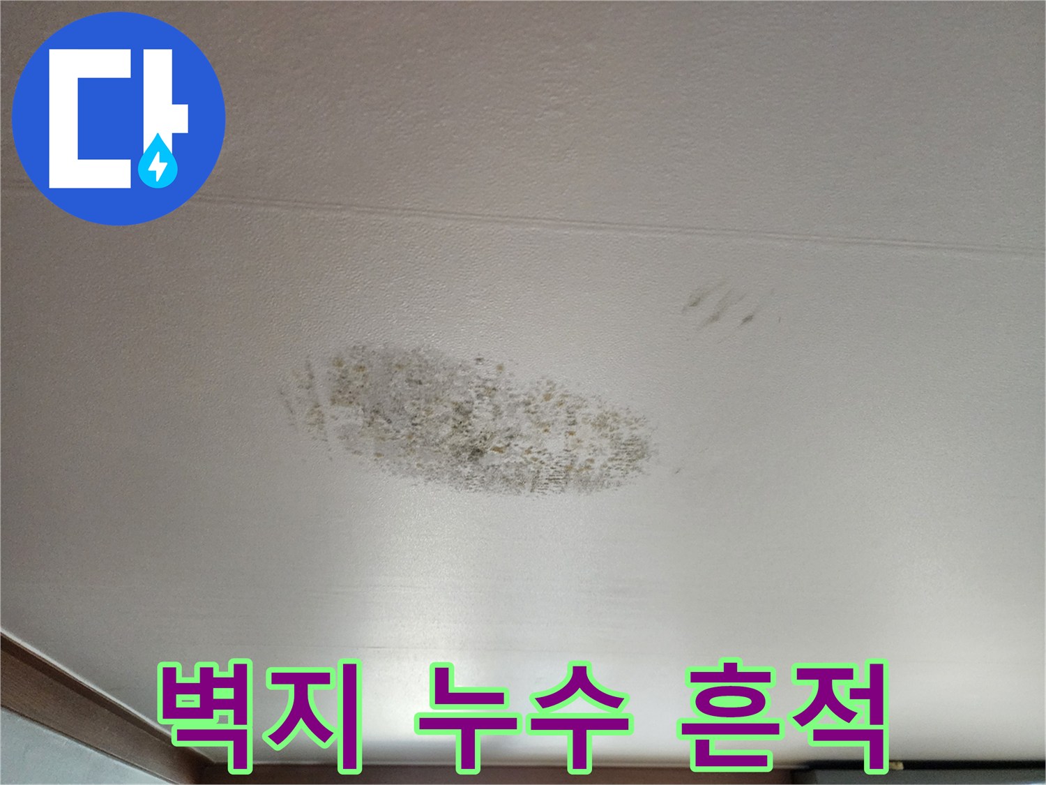 천장 벽면의 젖은 듯한 변색 부위와 곰팡이 패턴